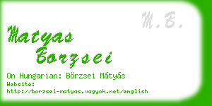 matyas borzsei business card